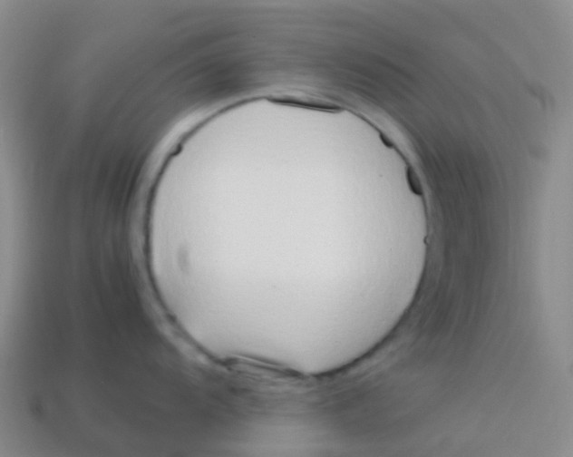 X0000113541104200910161407