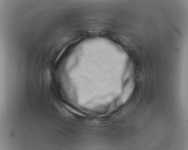 X0000113541106200910161406