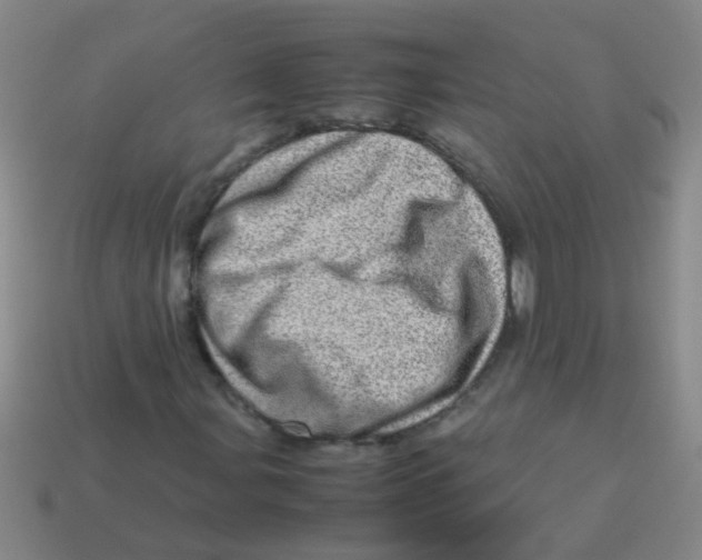 X0000113541107200910161406