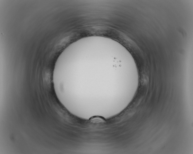 X0000113541108200910161406