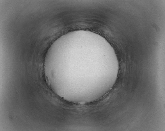 X0000113541109200910161406