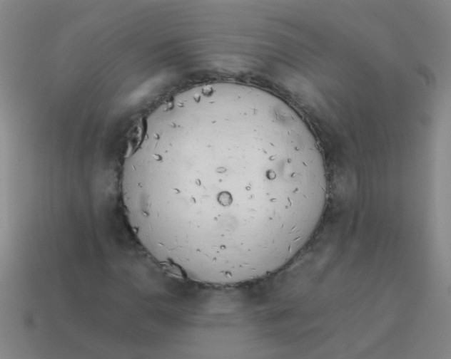 X0000113541110200910161406