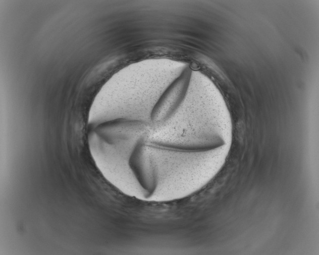 X0000113541111200910161406