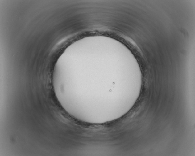 X0000113541112200910161406