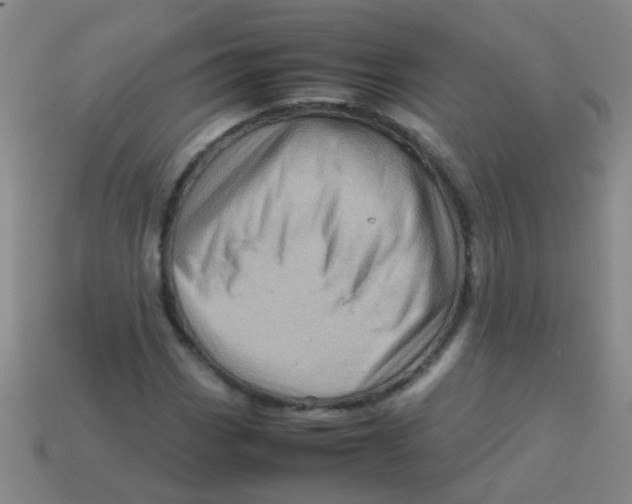 X0000113541113200910161406