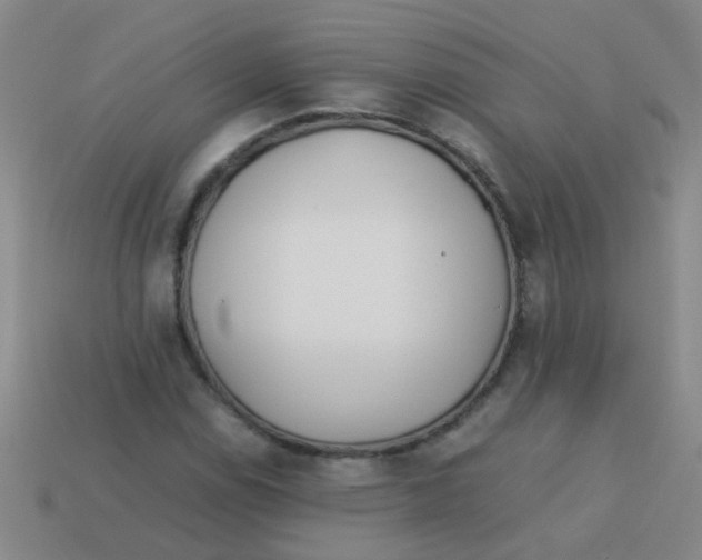 X0000113541114200910161406