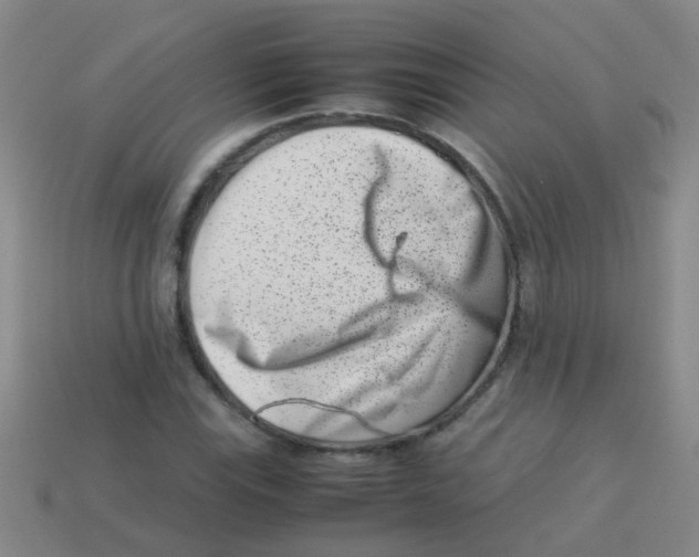 X0000113541115200910161406