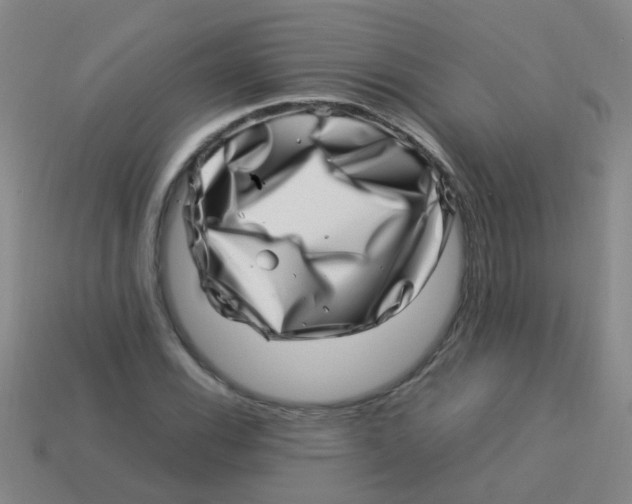X0000113541116200910161406