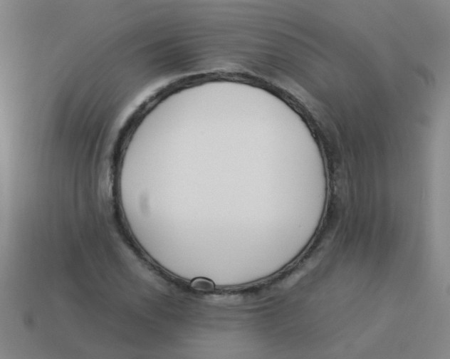 X0000113541118200910161406