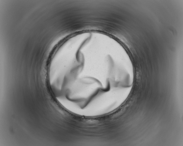 X0000113541119200910161406