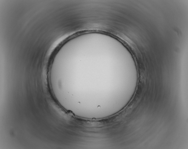 X0000113541120200910161406