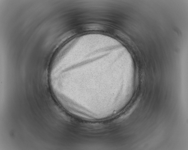 X0000113541121200910161406
