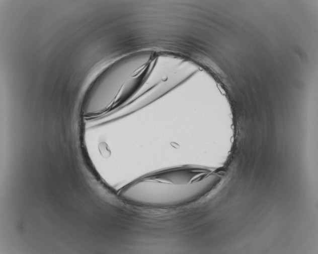 X0000113541122200910161406