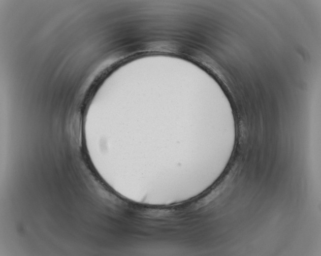 X0000113541123200910161406