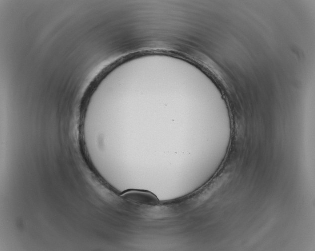 X0000113541124200910161406