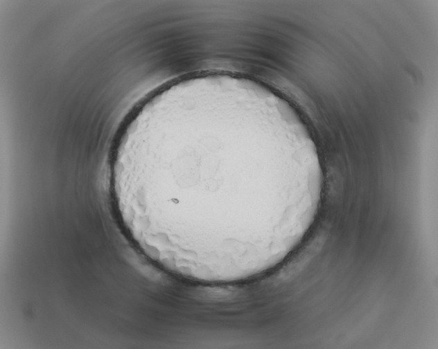 X0000113541125200910161406