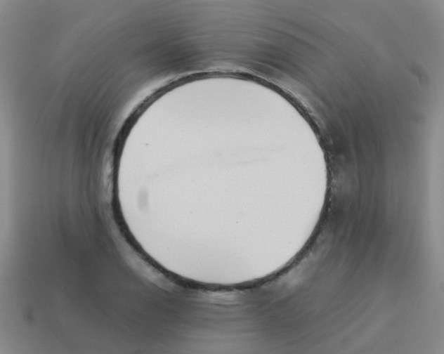 X0000113541126200910161406