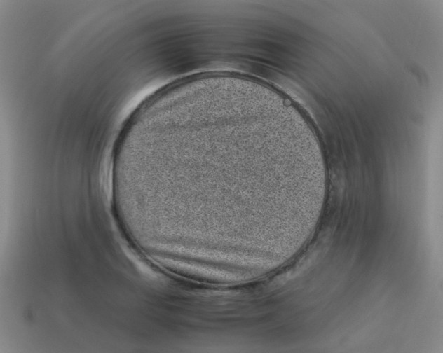 X0000113541127200910161406
