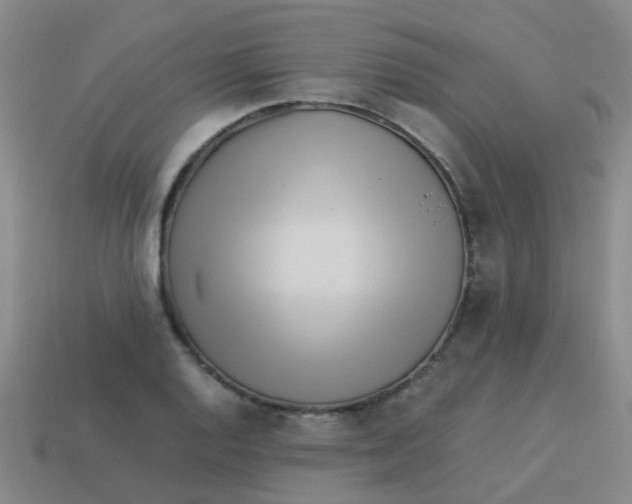 X0000113541128200910161406