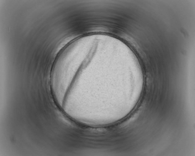 X0000113541129200910161406