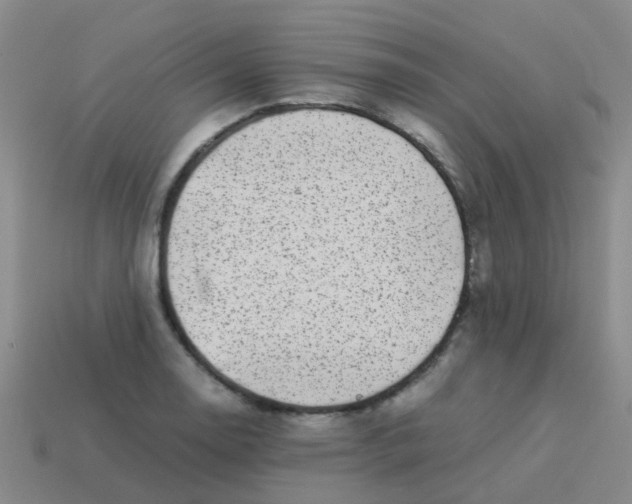 X0000113541130200910161406