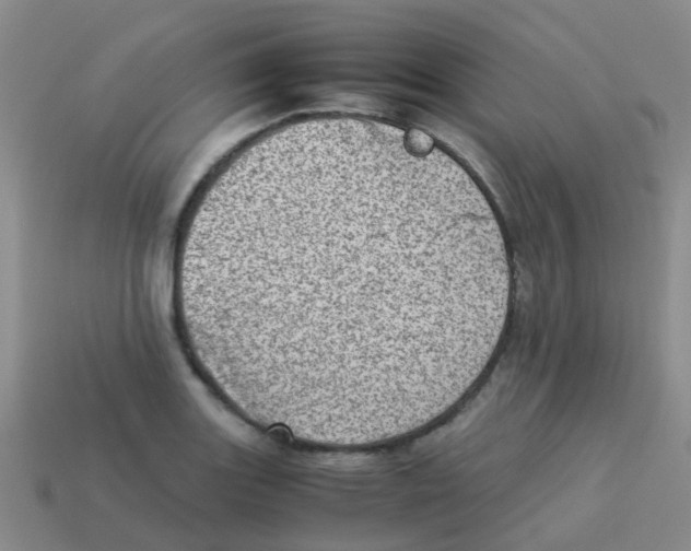 X0000113541131200910161406