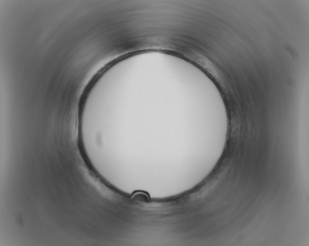 X0000113541132200910161406