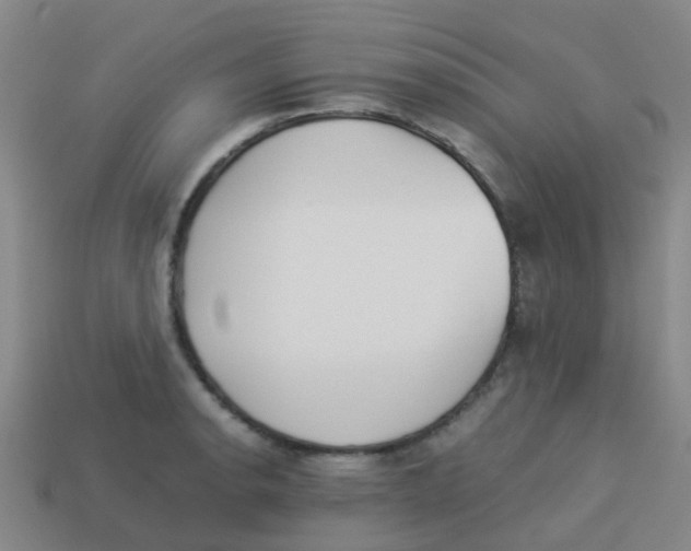 X0000113541134200910161406