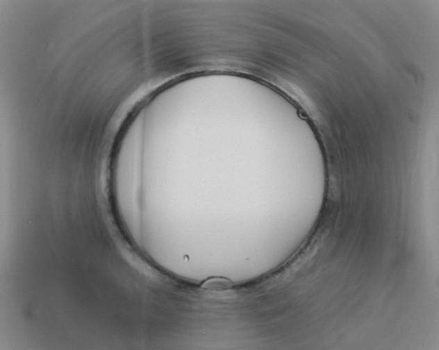 X0000113541136200910161406
