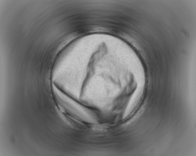 X0000113541137200910161406