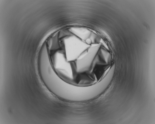 X0000113541138200910161406