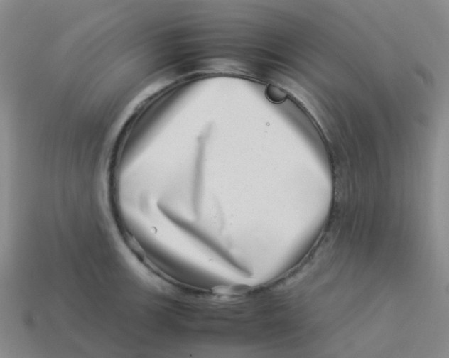 X0000113541139200910161406