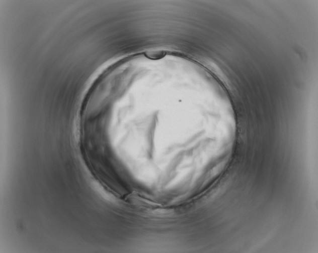 X0000113541140200910161406