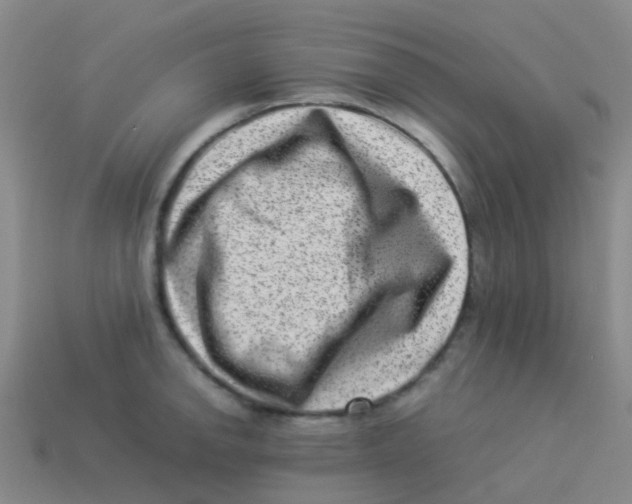 X0000113541142200910161406