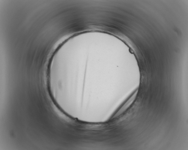 X0000113541143200910161406