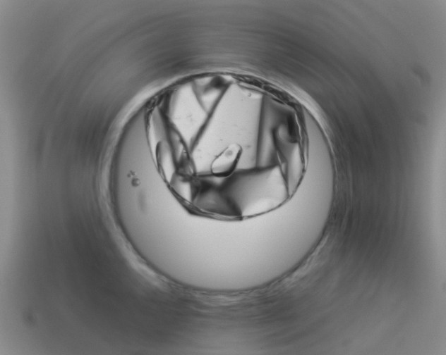X0000113541144200910161406