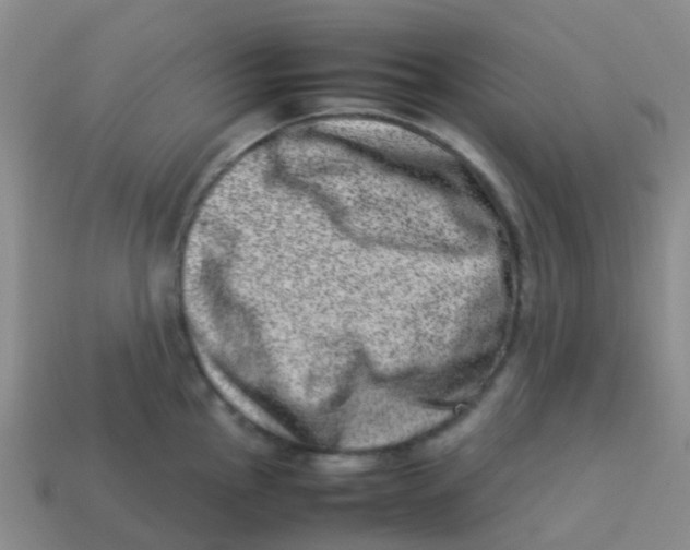 X0000113541145200910161406