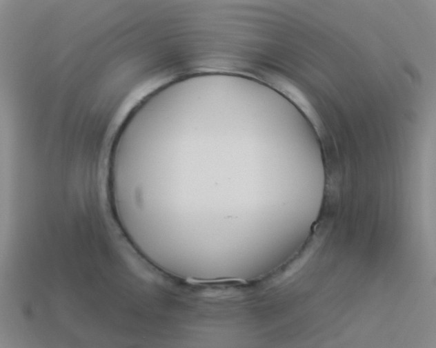 X0000113541146200910161406