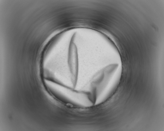 X0000113541147200910161406