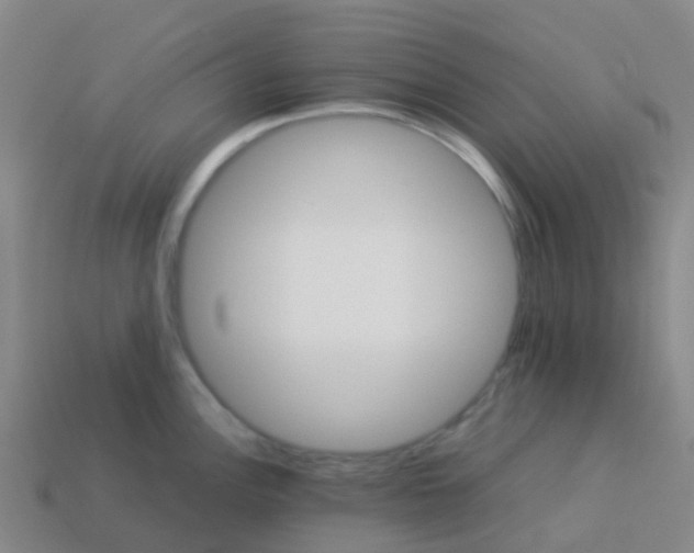 X0000113541148200910161406