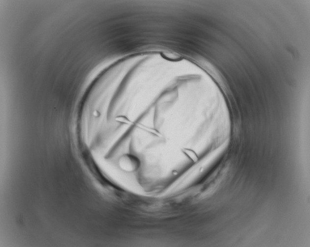 X0000113541149200910161406