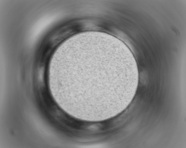 X0000113541150200910161407