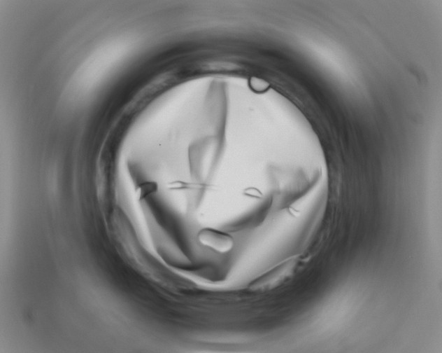 X0000113541151200910161407