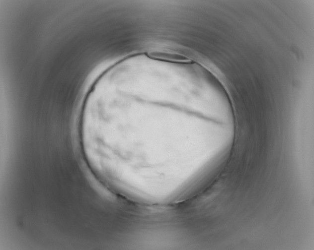 X0000113541152200910161407