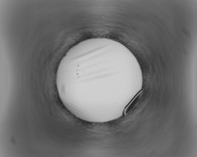 X0000113541153200910161406