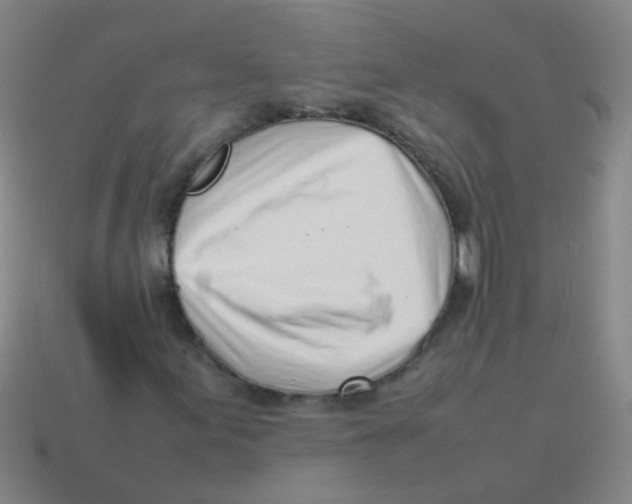 X0000113541155200910161406