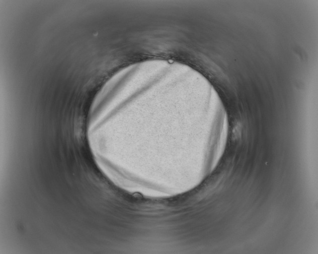 X0000113541156200910161406