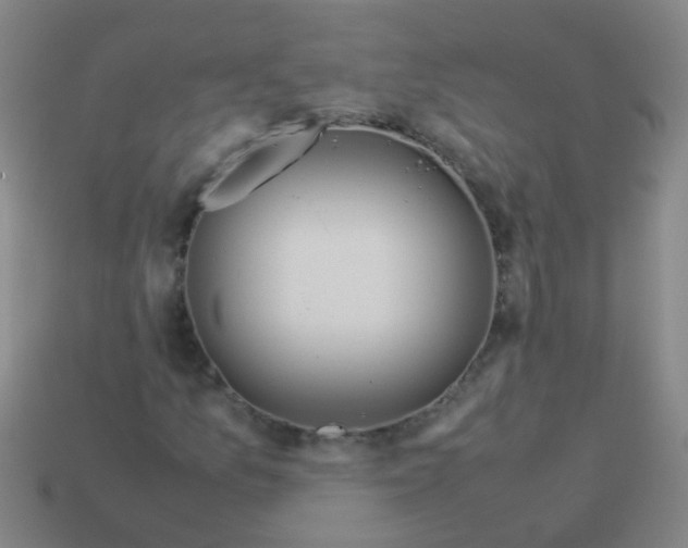 X0000113541157200910161406