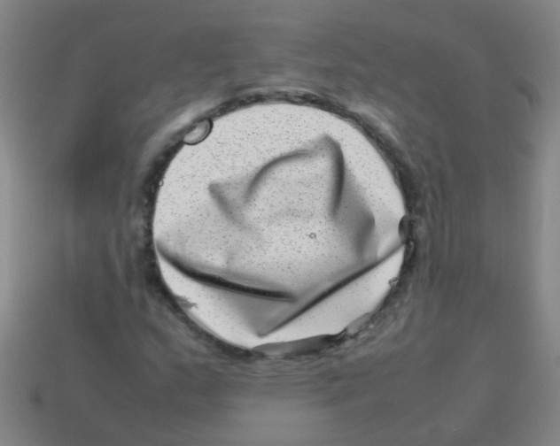 X0000113541159200910161406