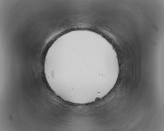 X0000113541160200910161406